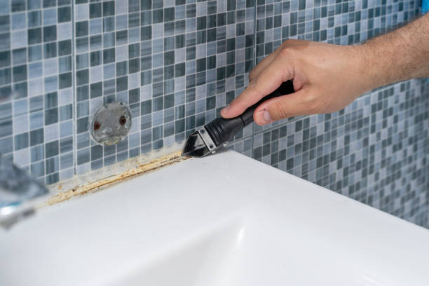 Best Office Mold Removal Services  in Ashdown, AR